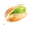Pisztácia